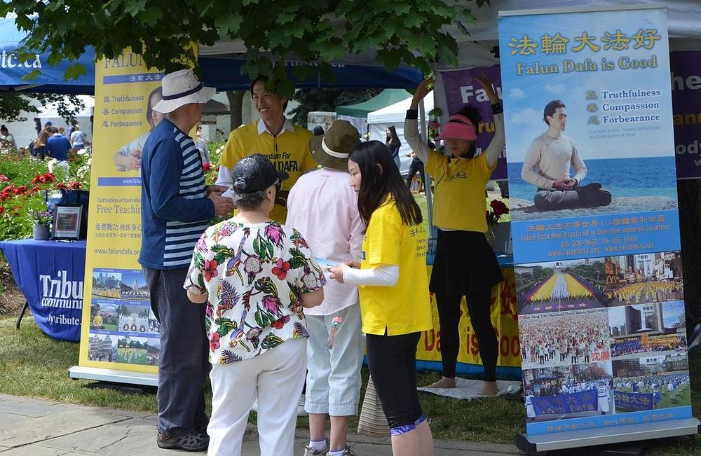 Praktikantski štand na Festivalu božura