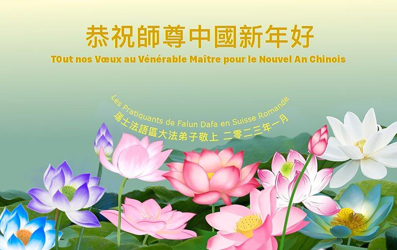 “Tout nos Vœux au Vénérable Maître pour le Nouvel An chinois”                    (Čestitke poštovanom Učitelju za kinesku Novu godinu) napisali su praktikanti iz francuskog govornog područja u Švicarskoj.