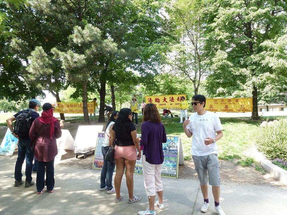 Plakati u luci jezera Ontario