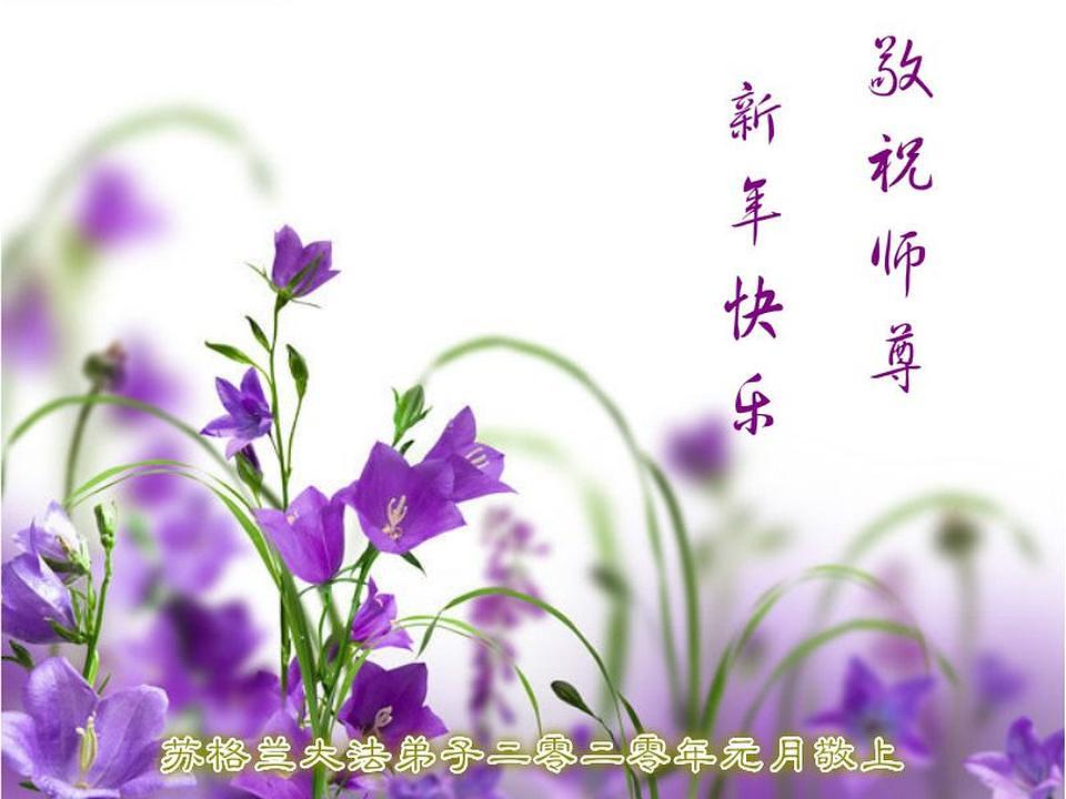 Iskrene čestitke praktikanata iz Škotske