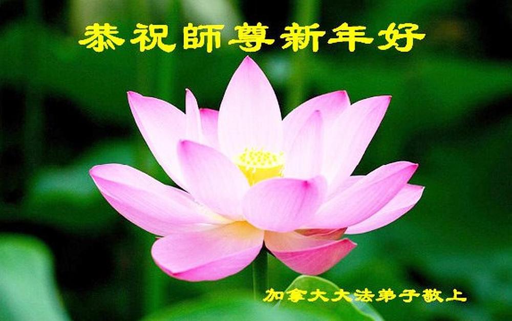 Čestitka Učitelju od praktikanata iz Kanade