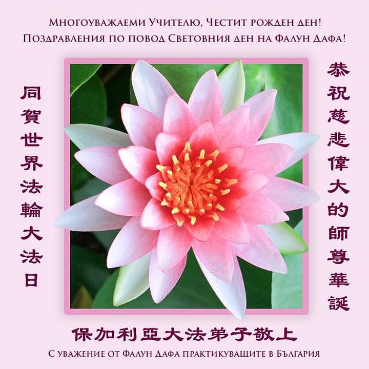 Čestitka praktikanata iz Bugarske