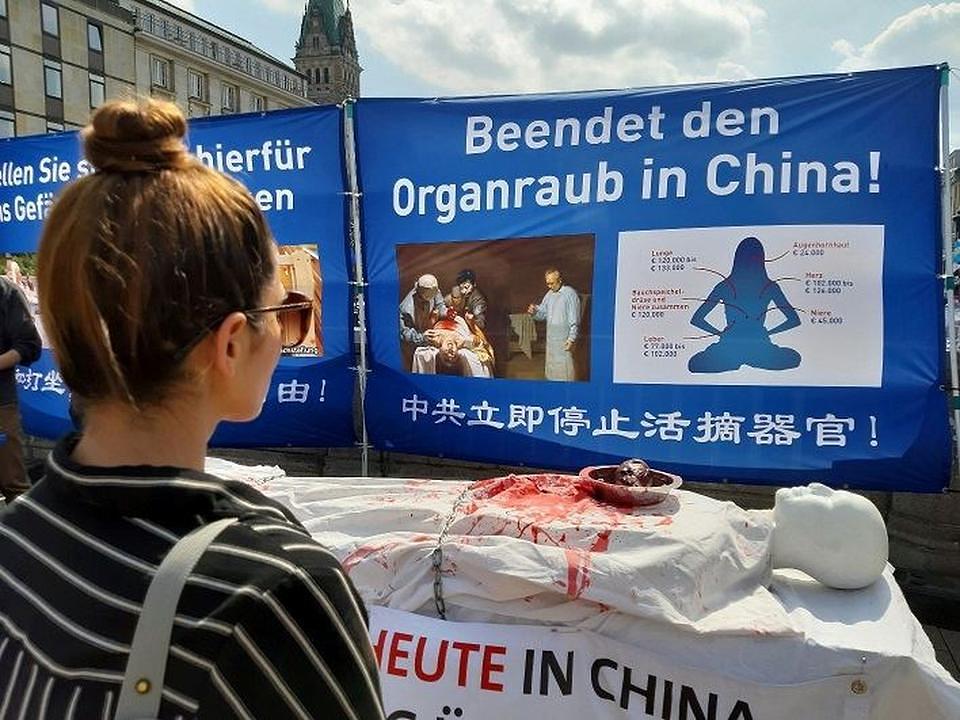 Aida čita pano o Falun Dafa 