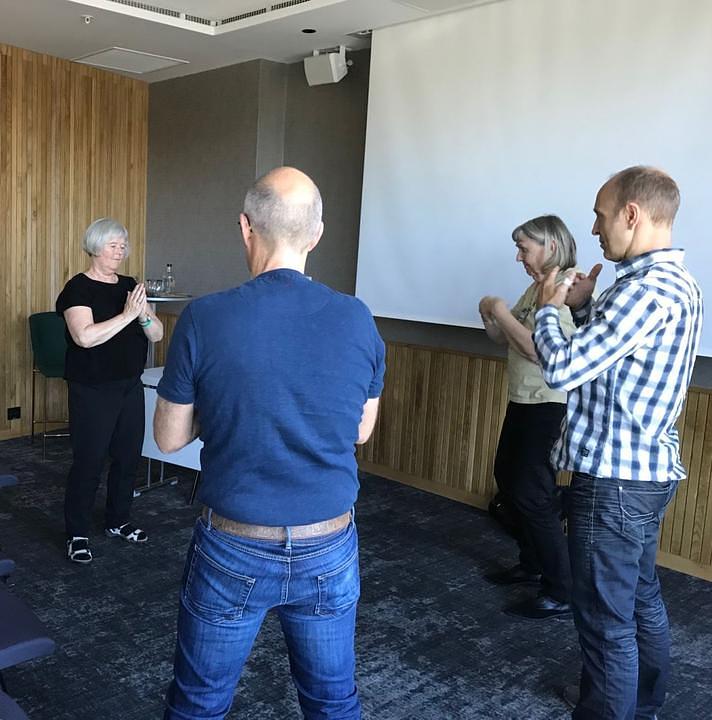 Ljudi uče Falun Gong vježbe na sajmu Zdravog života u Stavangeru, u Norveškoj.