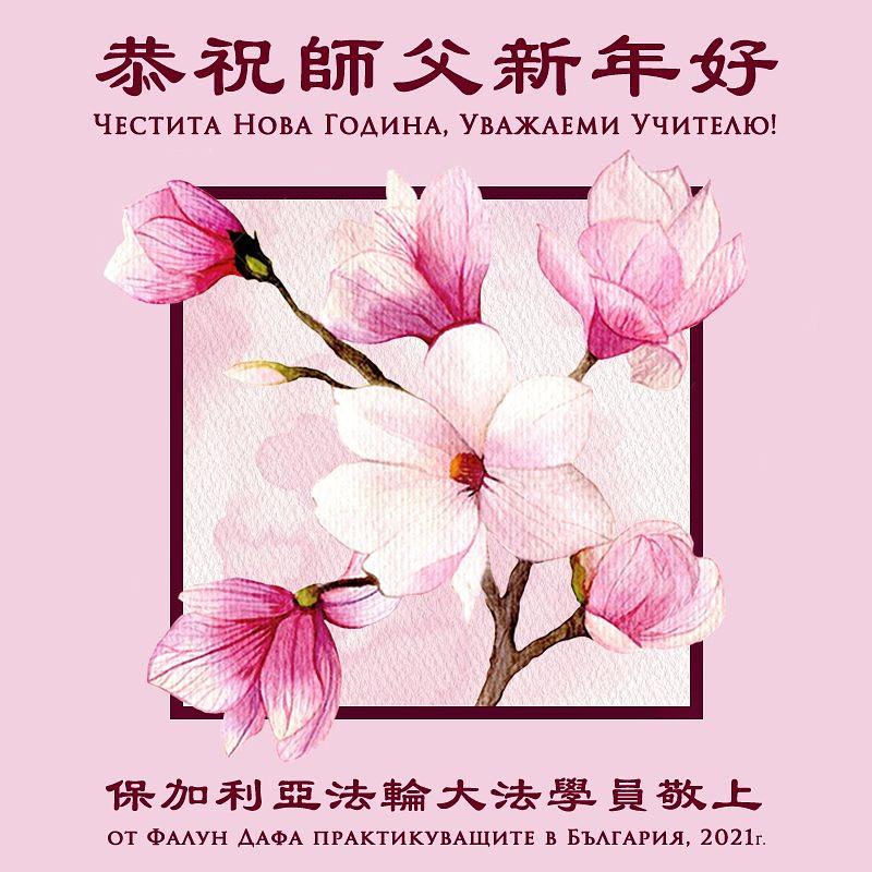 Praktikanti iz Bugarske žele Učitelju sretnu Novu godinu.