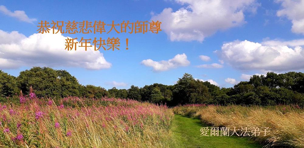 Čestitka Učitelju od praktikanata u Irskoj