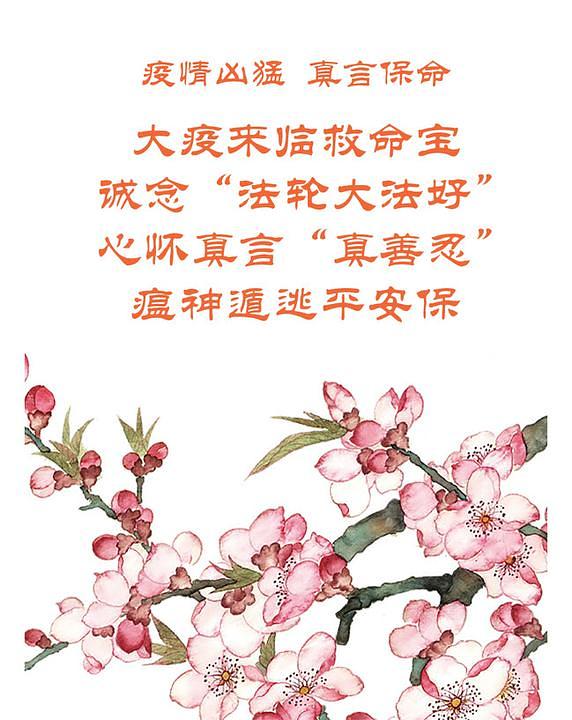 Plakat koji je postavio gospodin Sun sa porukom o dvije blagotvorne rečenice.
 