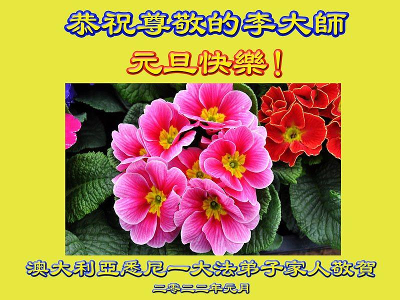 Čestitka Učitelju od obitelji praktikanta u Syndeyu