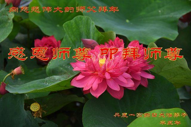 Pozdrav  praktikanata iz Danske