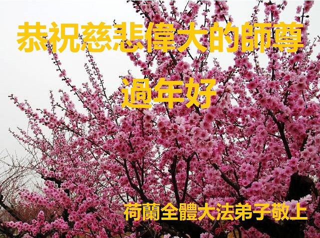 Novogodišnja čestitka Učitelju od praktikanata iz Nizozemske