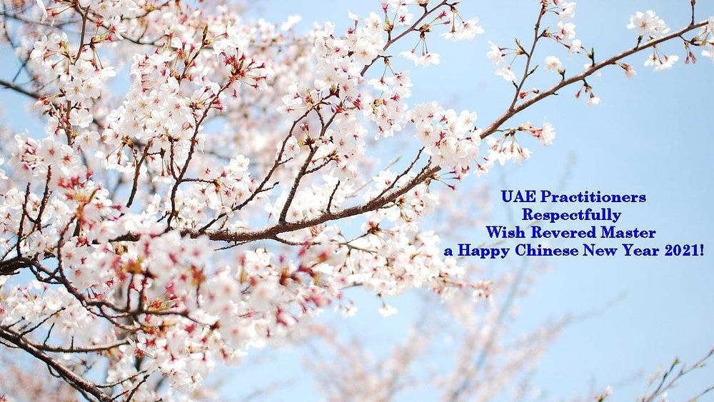 Praktikanti iz Tokija žele Učitelju Liju svako dobro.