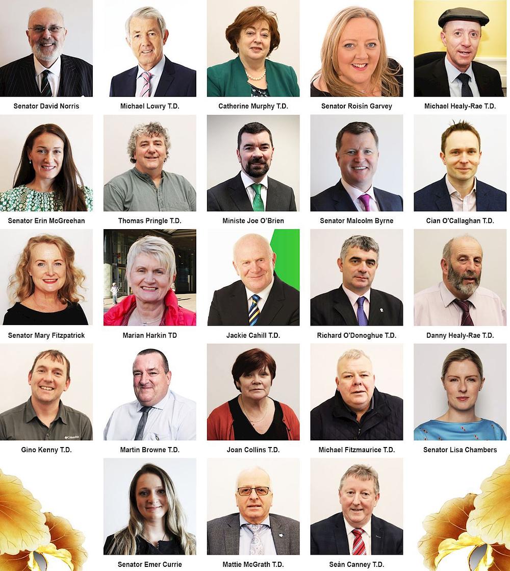 Evropsko je Falun Dafa udruženje primilo čestitke od 23 irska savezna poslanika u čast Svjetskog Dana Falun Dafa 2021. godine.
 