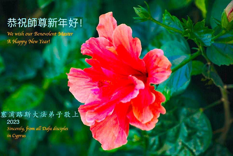 Praktikanti na Cipru žele Učitelju Liju sretnu Novu godinu.