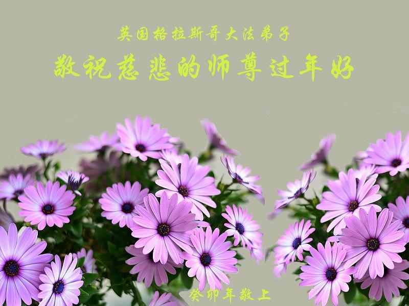 Pozdrav Učitelju od praktikanata iz Glasgowa iz Ujedinjenog Kraljevstva