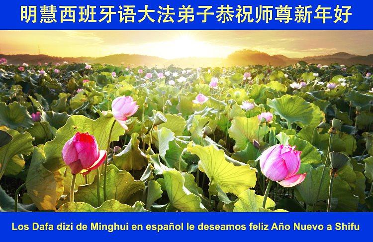 Novogodišnje čestitke od Minghui španjolskog tima. 