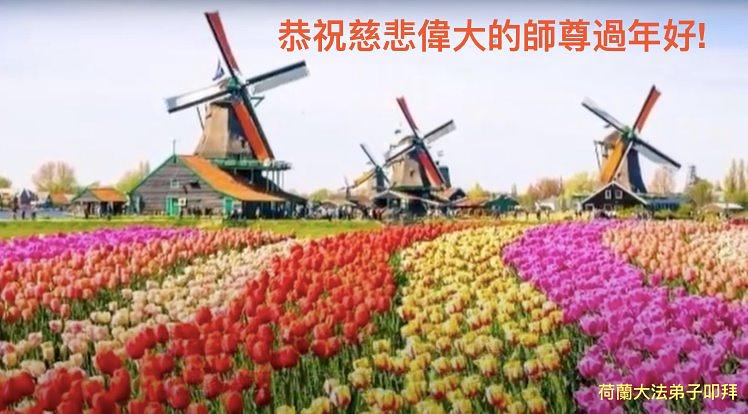 Pozdrav Učitelju od praktikanata iz Nizozemske