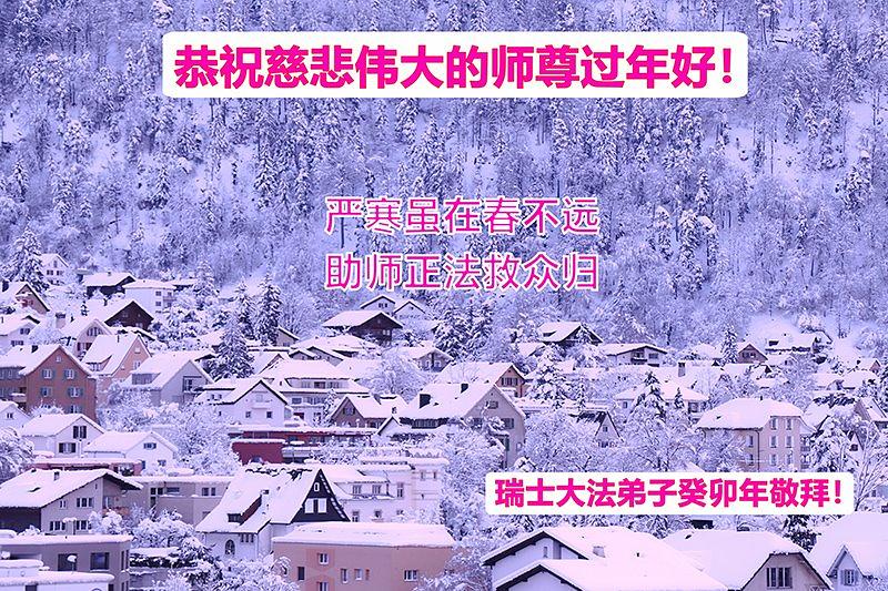 Pozdrav Učitelju od praktikanata iz Švicarske