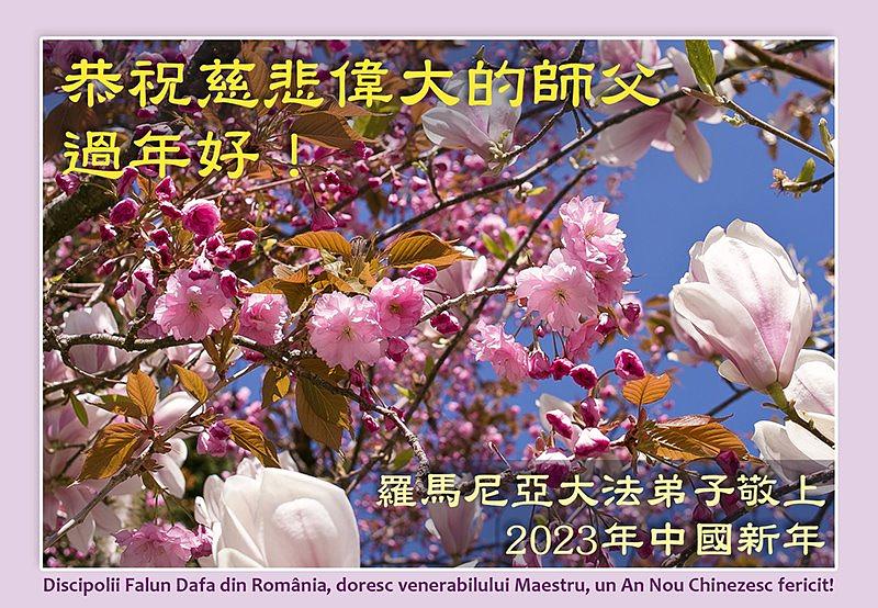 Rumunjski praktikanti šalju svoje tople čestitke.