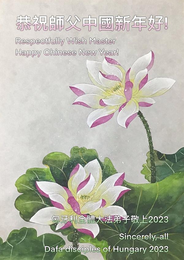 Čestitke od svih praktikanata iz Mađarske