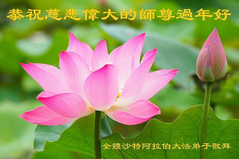 „Iskreno želimo dobrodušnom Učitelju sretnu Novu godinu“, napisali su čestitke iz Saudijske Arabije.