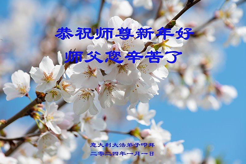 Talijanski praktikanti su zahvalni na dobrodušnosti Učitelja Lija.