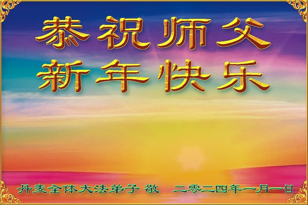 Praktikanti iz  Danske žele Učitelju Liju sretnu Novu godinu!