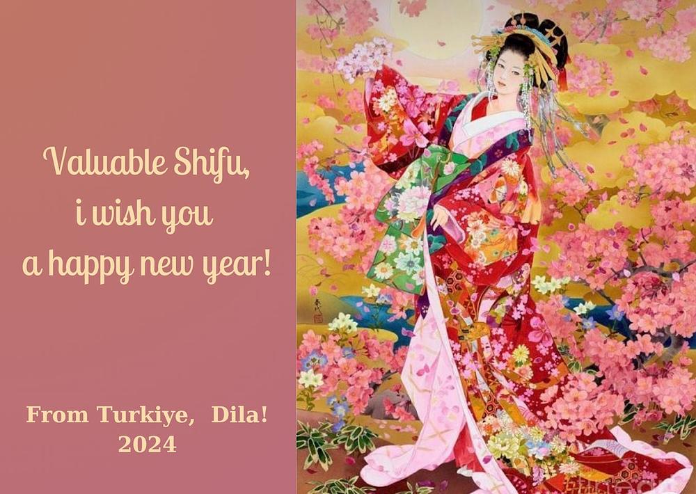 Novogodišnje čestitke turskih praktikanata sa stihovima: