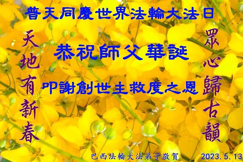  Brazilski praktikanti čestitaju Učitelju  Liju.