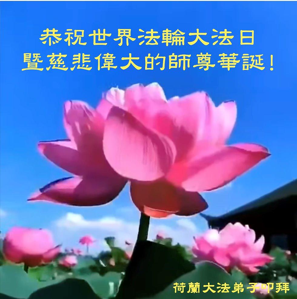  Holandski praktikanti čestitaju Učitelju  Liju!