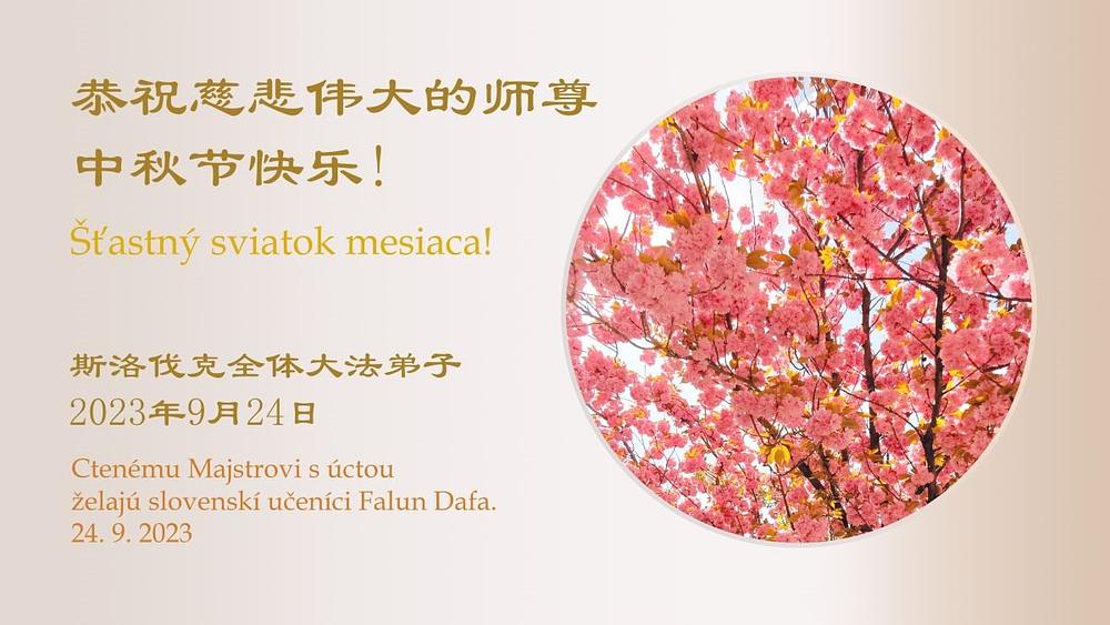 Svi praktikanti u Slovačkoj žele Učitelju Liju srećan Praznik mjeseca!