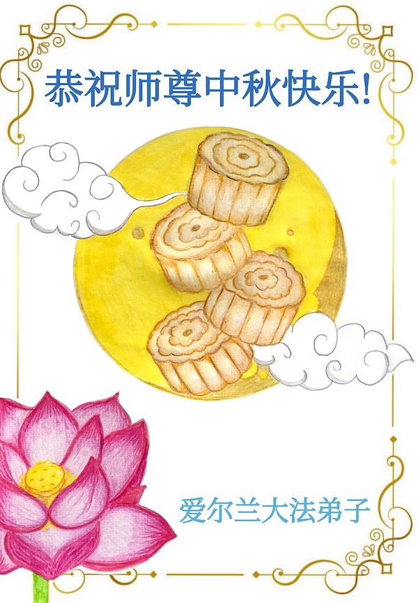 Čestitka  praktikanata iz Irske